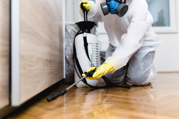 Best Pest Inspection Near Me  in Kingsley, IA