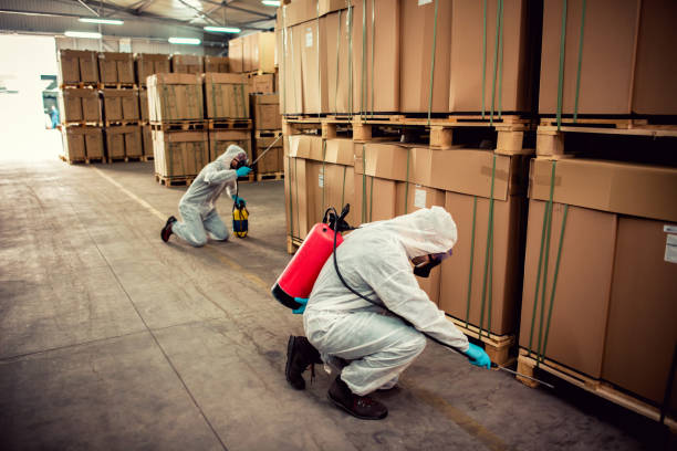 Best Emergency Pest Control  in Kingsley, IA