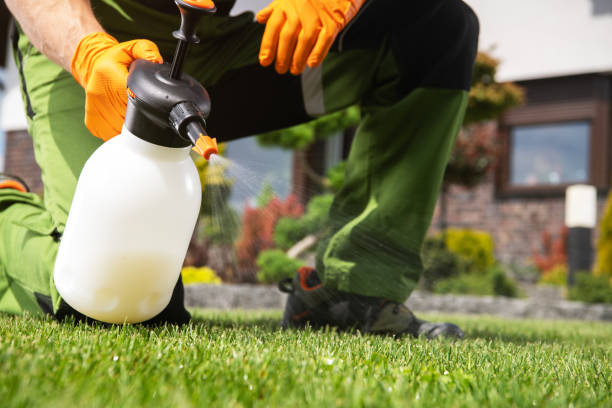 Professional Pest Control in Kingsley, IA
