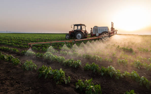 Best Pest Prevention Services  in Kingsley, IA