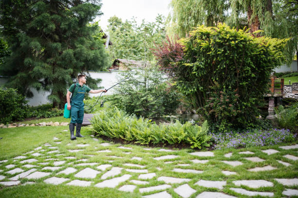 Best Pest Control Near Me in Kingsley, IA