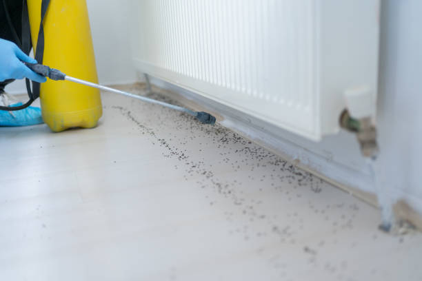 Best Commercial Pest Control Services  in Kingsley, IA